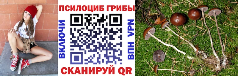 Купить закладки  Луза  Псилоцибиновые грибы ЛСД 